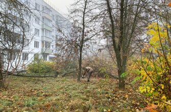 Опиловка деревьев