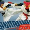 Рукопашный бой