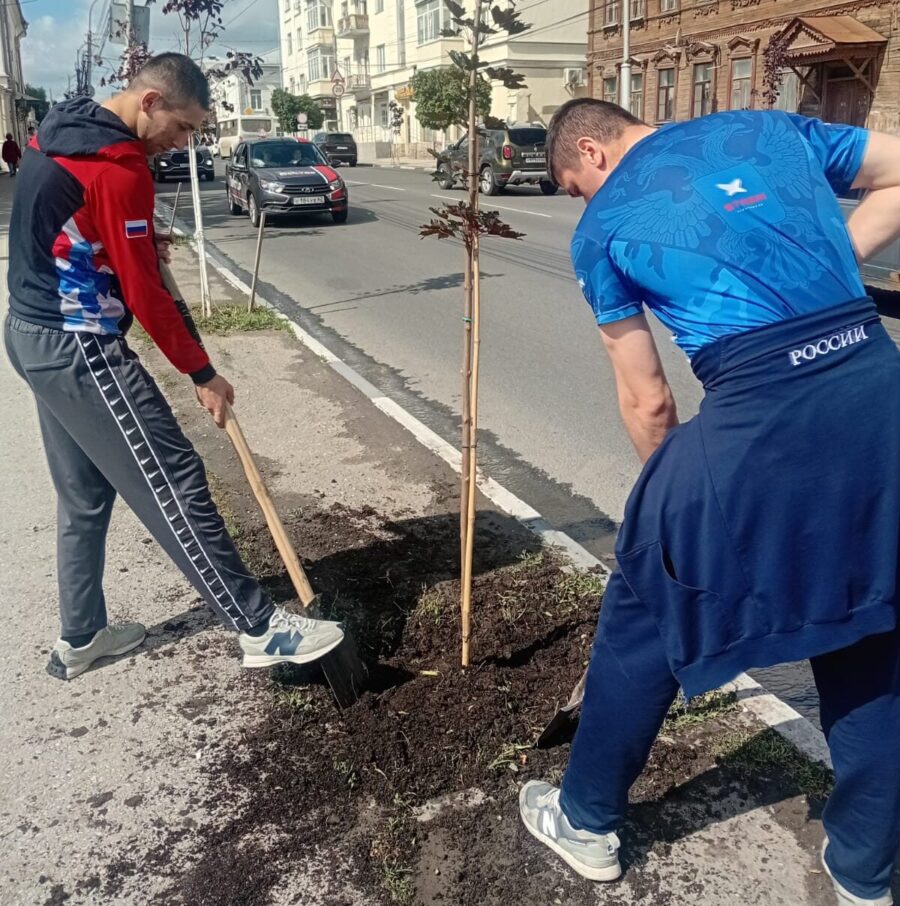 Озеленение
