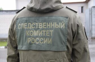 следственный комитет