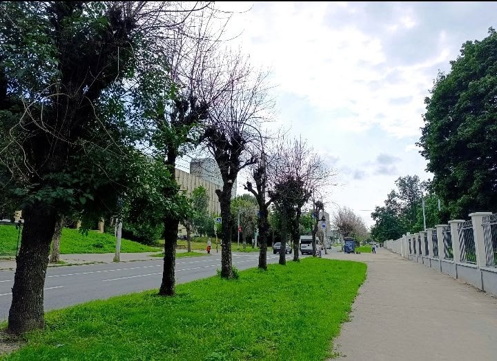 Сухостои