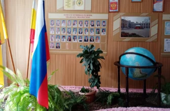 школа