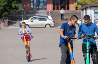 СИМ