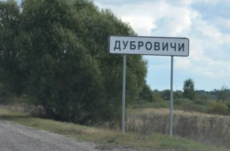 ДУБРОВИЧИ