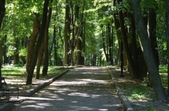 ДУБОВАЯ-РОЩА
