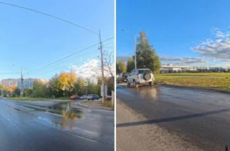 ФЕКАЛИИ
